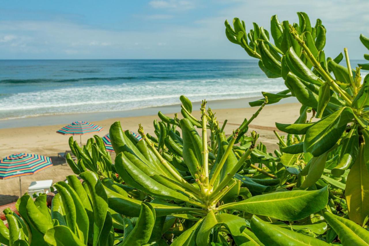 Marsai Hotel Boutique (Adults Only) Punta Mita Zewnętrze zdjęcie